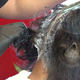 Image for article titled Are You Wearing Demonic Weave? Maybe You Should Pray Over It.